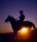 Avatar utente