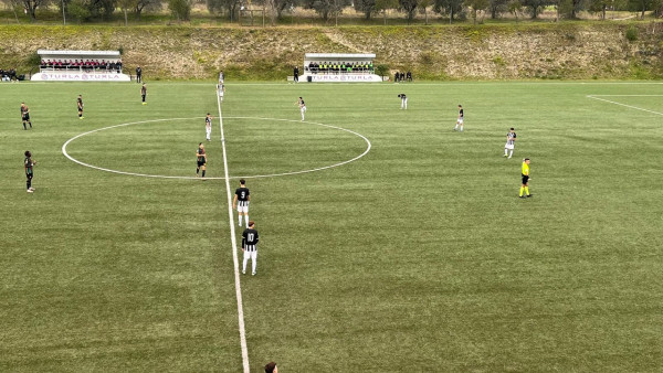 primavera1.jpg