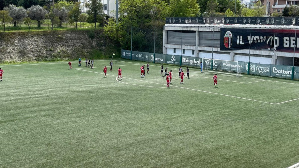 primavera1.jpg